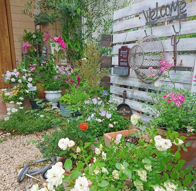 幼兒園自然角設(shè)計(jì)